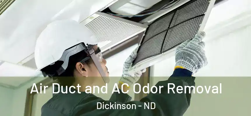  Air Duct and AC Odor Removal Dickinson - ND