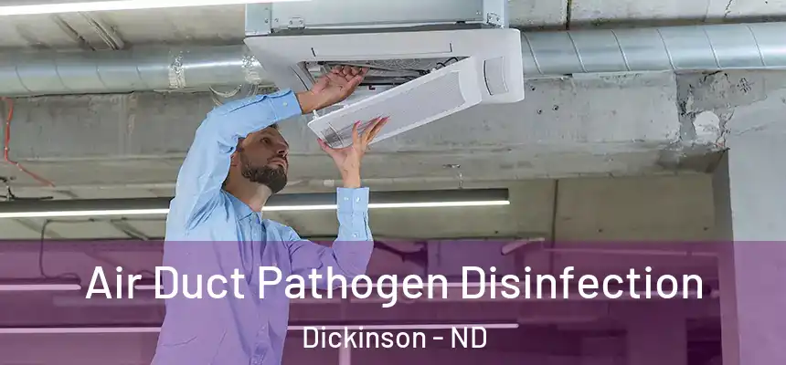  Air Duct Pathogen Disinfection Dickinson - ND