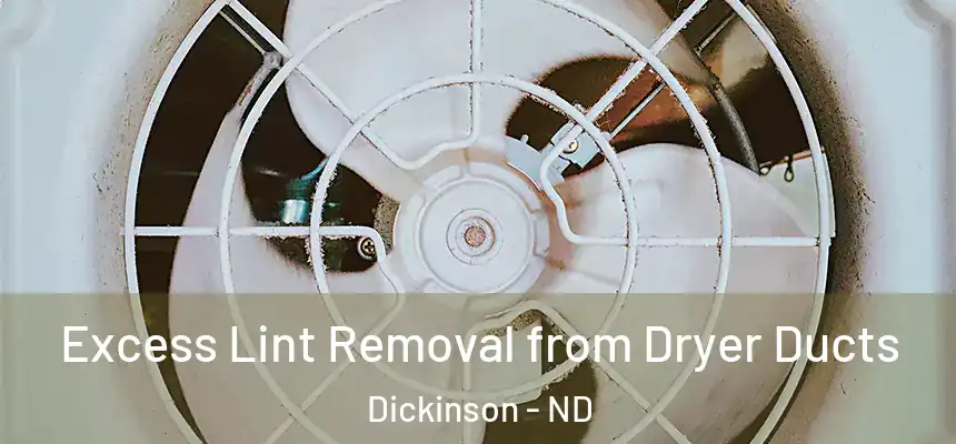  Excess Lint Removal from Dryer Ducts Dickinson - ND