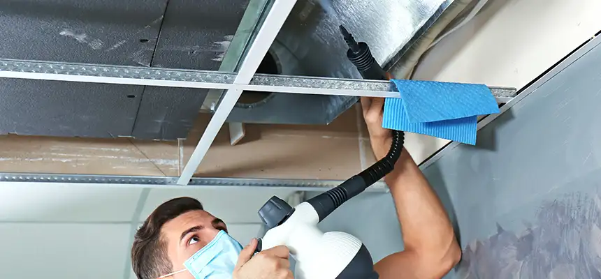 Our Air Duct Rodent Removal Services in Dickinson, ND