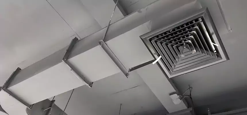 Restorative Allergy Relief Vent Cleaning – Coil, Blower & Housing Detail in Dickinson