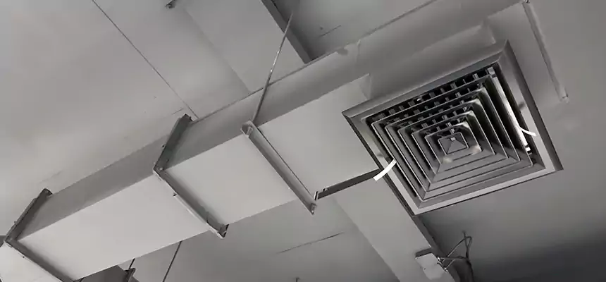 Our Rodent Droppings In Vents Services in Dickinson, ND