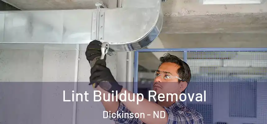  Lint Buildup Removal Dickinson - ND