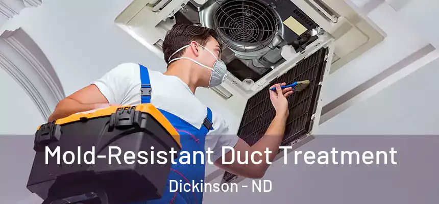  Mold-Resistant Duct Treatment Dickinson - ND