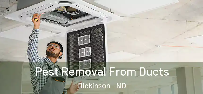  Pest Removal From Ducts Dickinson - ND
