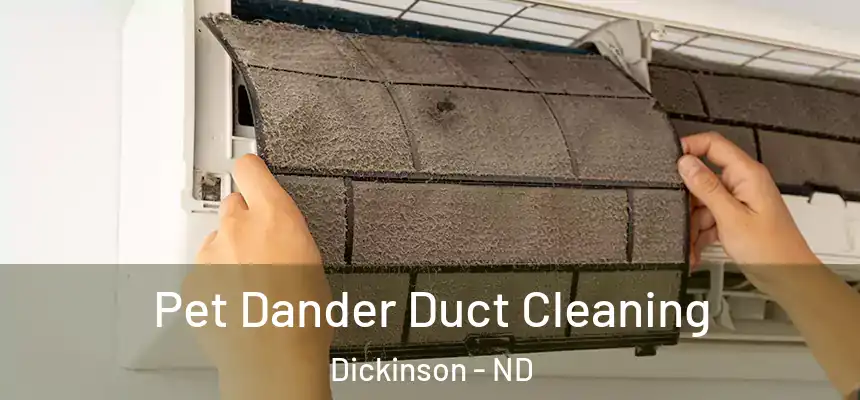  Pet Dander Duct Cleaning Dickinson - ND