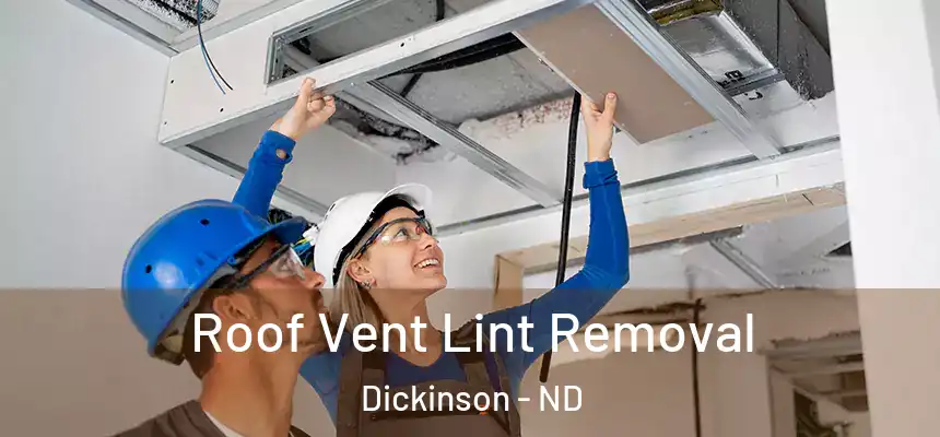  Roof Vent Lint Removal Dickinson - ND