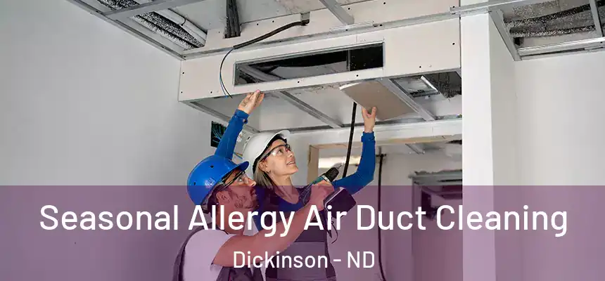  Seasonal Allergy Air Duct Cleaning Dickinson - ND
