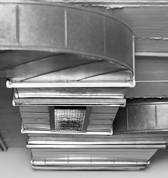 Professional Air Duct Pet Hair Removal in Dickinson, ND