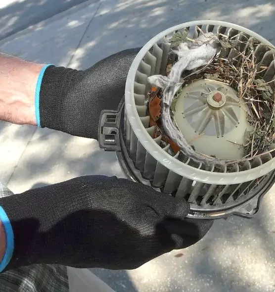 About Air Duct Rat Removal in Dickinson, ND