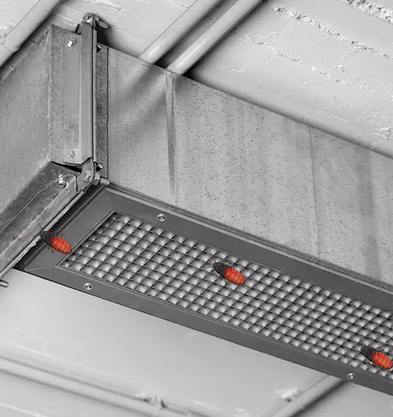 Affordable Insect Removal from Air Ducts in Dickinson, ND