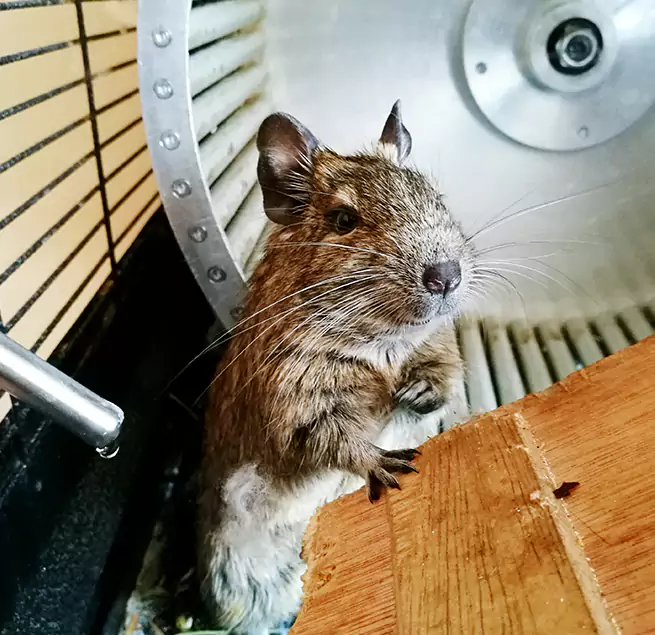 Why Homeowners & Businesses Trust Us Dickinson, ND?